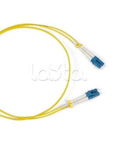 Патч-корд оптический TWT-2FC-2LC/SAU-3.0 в Кемерово Патч-корды оптические Pintop.ru