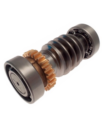 Червяк FROG Came 119RIA016 в Кемерово Запчасти для шлагбаумов и автоматики Pintop.ru