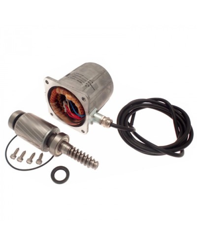 Электродвигатель FROG-A в сборе Came 119RIA061 в Кемерово Запчасти для шлагбаумов и автоматики Pintop.ru