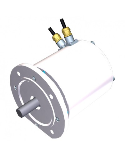 Электродвигатель FROG-MS Came 119RIA081 в Кемерово Запчасти для шлагбаумов и автоматики Pintop.ru