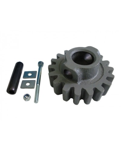 Шестерня ведущая ВК Came 119RIBK002 в Кемерово Запчасти для шлагбаумов и автоматики Pintop.ru