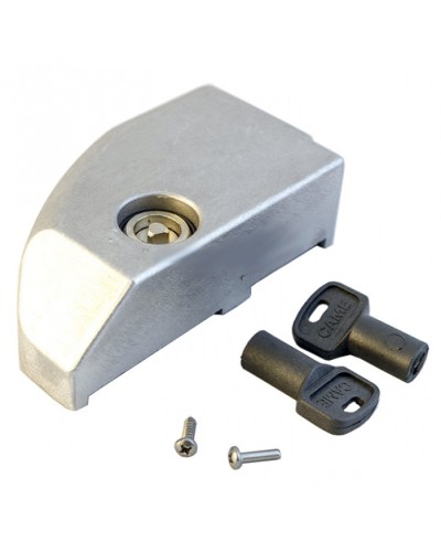 Дверца замка разблокировки BK Came 119RIBK012 в Кемерово Запчасти для шлагбаумов и автоматики Pintop.ru