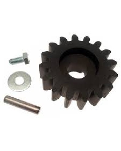 Шестерня для цепной передачи Came 119RIBK036 в Кемерово Запчасти для шлагбаумов и автоматики Pintop.ru