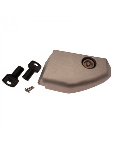 Дверца разблокировки с замком BX Came 119RIBX008 в Кемерово Запчасти для шлагбаумов и автоматики Pintop.ru