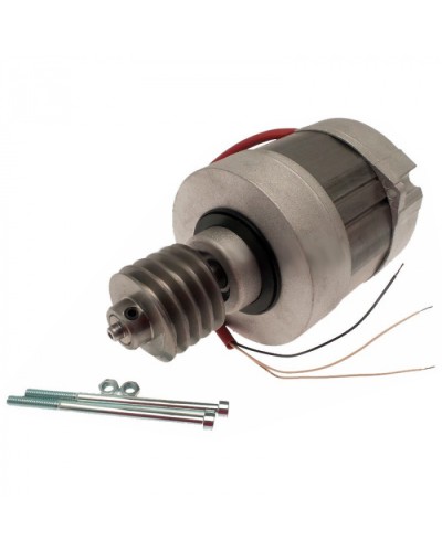 Электродвигатель BX-A, BX-74 в сборе Came 119RIBX016 в Кемерово Запчасти для шлагбаумов и автоматики Pintop.ru