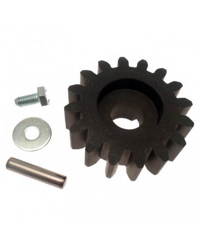 Шестерня ведущая BZ Came 119RIBZ005 в Кемерово Запчасти для шлагбаумов и автоматики Pintop.ru