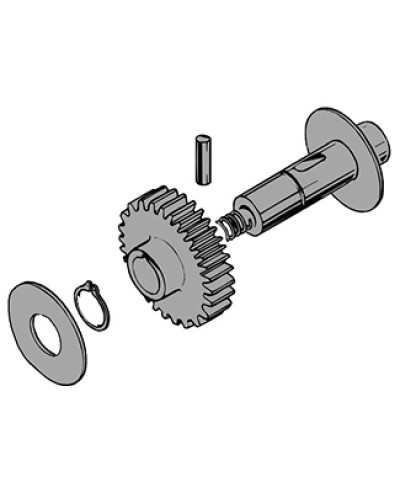 Вал в сборе C100 Came 119RIC011 в Кемерово Запчасти для шлагбаумов и автоматики Pintop.ru