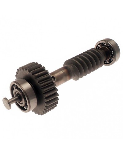 Червяк редуктора FAST в сборе Came 119RID228 в Кемерово Запчасти для шлагбаумов и автоматики Pintop.ru