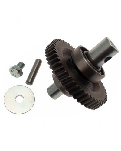 Шестерня редуктора FAST в сборе Came 119RID229 в Кемерово Запчасти для шлагбаумов и автоматики Pintop.ru