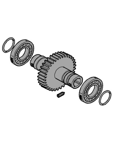 Вал выходной EMEGA Came 119RIE062 в Кемерово Запчасти для шлагбаумов и автоматики Pintop.ru