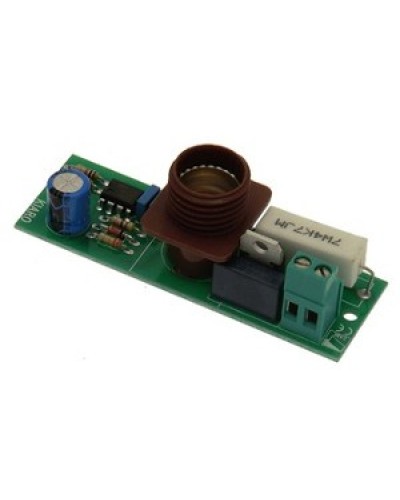 Плата лампы KIARO 24 Came 119RIR030 в Кемерово Запчасти для шлагбаумов и автоматики Pintop.ru