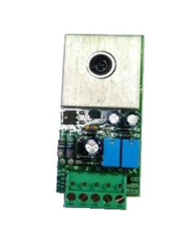 Плата RX DIR20 Came 119RIR138 в Кемерово Запчасти для шлагбаумов и автоматики Pintop.ru