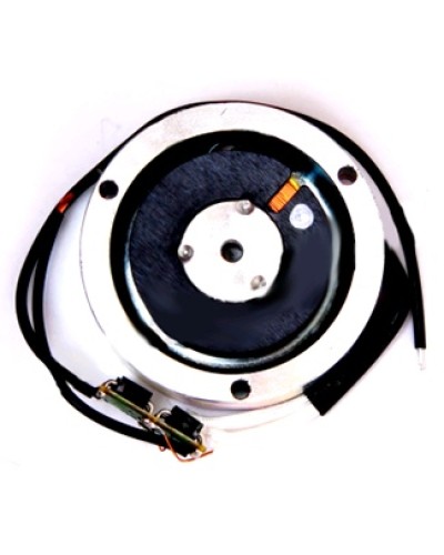 Электромагнит BY1500T Came 119RIY034 в Кемерово Запчасти для шлагбаумов и автоматики Pintop.ru