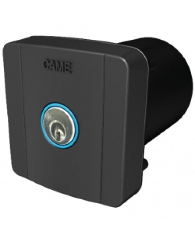 Ключ-выключатель встраиваемый Came 806SL-0020 в Кемерово Запчасти для шлагбаумов и автоматики Pintop.ru