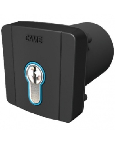 Ключ-выключатель встраиваемый с цилиндром замка DIN и синей подсветкой Came 806SL-0060 в Кемерово Запчасти для шлагбаумов и автоматики Pintop.ru