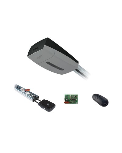 Комплект автоматики для секционных ворот Came V10DMS2.25 KIT (до 2,25 м до 18 м2) в Кемерово Автоматизация ворот Pintop.ru