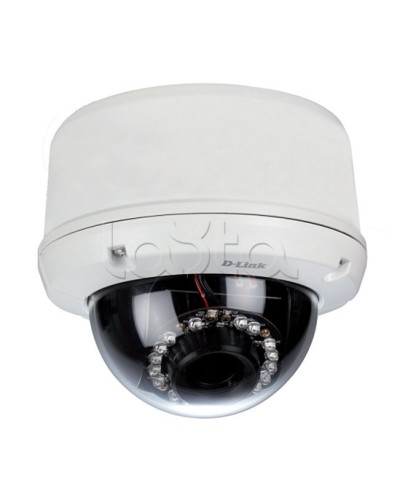 IP-камера видеонаблюдения уличная купольная D-Link DCS-6510/EP в Кемерово IP-камеры Pintop.ru