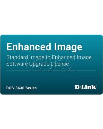 ПО D-Link DGS-3630-28TC-SE-LIC в Кемерово Беспроводное оборудование Pintop.ru