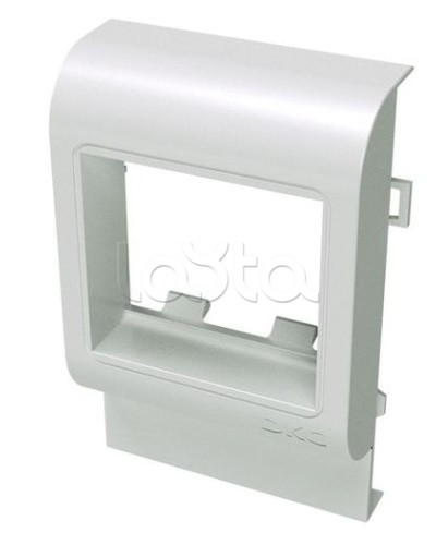 Рамка-суппорт под 2 модуля BRAVA DKC 10473 в Кемерово Аксессуары для кабель-канала Pintop.ru