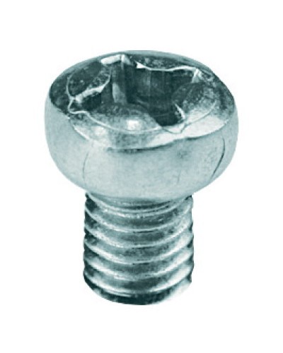 Винт с полуцилиндрической головкой М6х10 DKC CM090610 в Кемерово Крепеж Pintop.ru