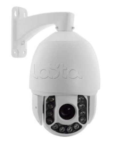 IP-камера видеонаблюдения купольная EverFocus ACE-ATE2033 в Кемерово IP-камеры Pintop.ru