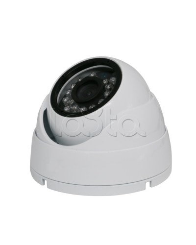 Камера видеонаблюдения купольная EverFocus ACE-IAB20XHD в Кемерово Аналоговые камеры Pintop.ru