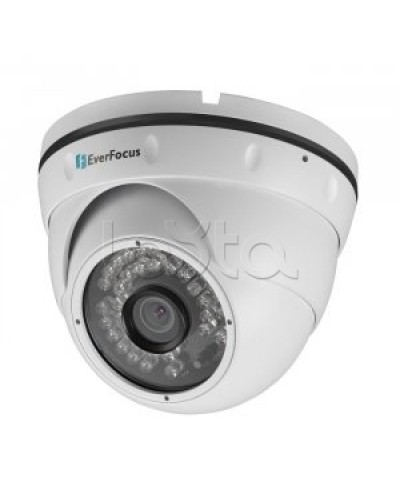 IP-камера видеонаблюдения купольная EverFocus ACE-IAV30 в Кемерово IP-камеры Pintop.ru