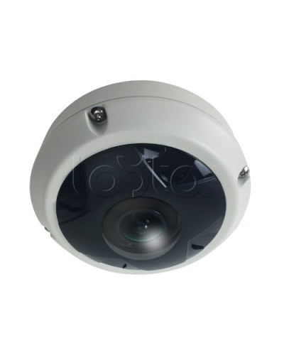 IP-камера видеонаблюдения купольная EverFocus ACE-KU89F в Кемерово IP-камеры Pintop.ru