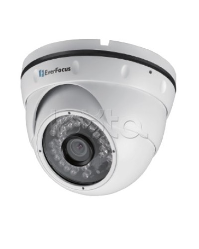 IP-камера видеонаблюдения уличная купольная EverFocus EBN-268 в Кемерово IP-камеры Pintop.ru