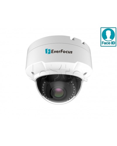 IP-камера видеонаблюдения купольная EverFocus EHN-2550 в Кемерово IP-камеры Pintop.ru