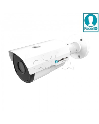 IP-камера видеонаблюдения в стандартном исполнении EverFocus EZN-2850 в Кемерово IP-камеры Pintop.ru