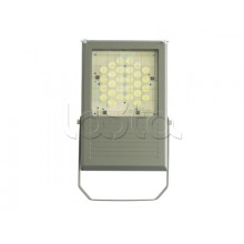 Прожектор светодиодный Forteza ФОСФОР-40/20