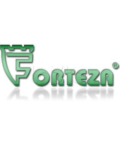 Плата сменная Forteza Плата БГр-4 в Кемерово Устройства защиты операционных процессоров (ОПС) Pintop.ru