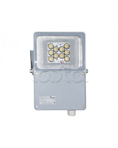 Прожектор светодиодный Forteza ФОСФОР-40/10-А (металл) в Кемерово Аксессуары для средств охраны периметра Pintop.ru