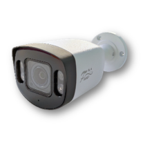 IP-камера в стандартном исполненииFox FX-IPC-C450FP-OC H.265 AI