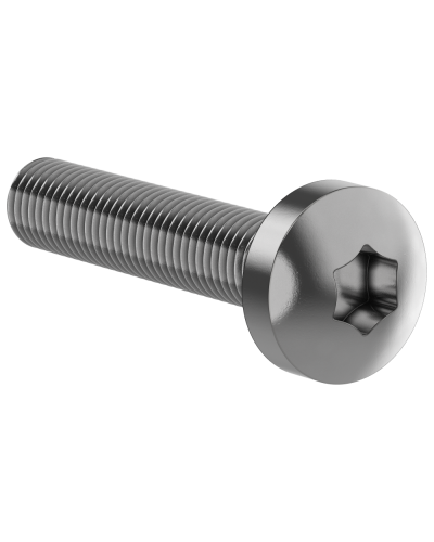 Винт М6х30 IEK (FO-00D-VTORX-M6X30-020) в Кемерово Аксессуары для стоек и шкафов Pintop.ru