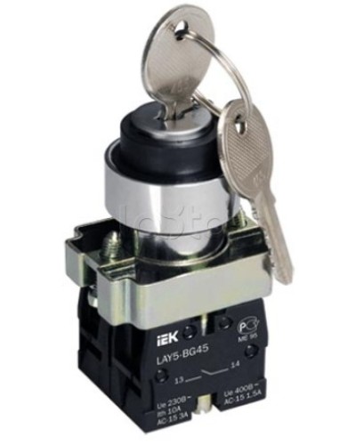 Переключатель LAY5-BG45 на 2 положения с ключом без фиксации IEK BSW80-BG-2-K02 в Кемерово Аксессуары для стоек и шкафов Pintop.ru