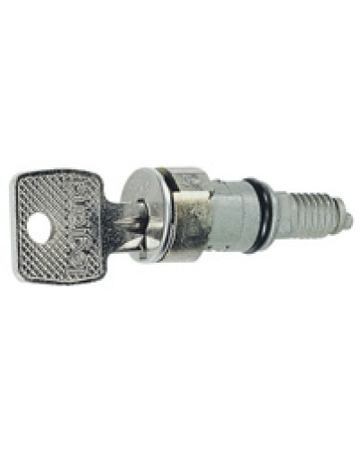 Вставка замка с ключами № 405 Legrand 036822 в Кемерово Полки для шкафов и стоек Pintop.ru