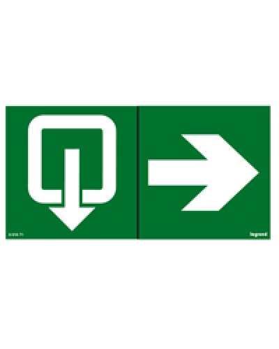 Пиктограмма 100х200 эвакуация стрелка Legrand 661671 в Кемерово Дополнительное оборудование для ОПС Pintop.ru