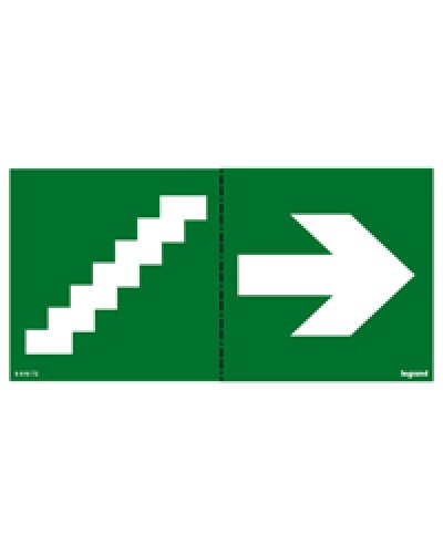 Пиктограмма 100х200 лестница стрелка Legrand 661672 в Кемерово Дополнительное оборудование для ОПС Pintop.ru