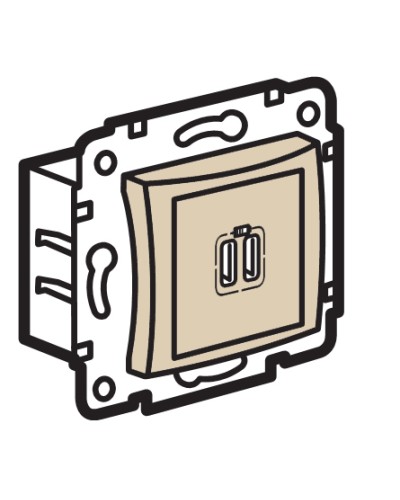 Устройство зарядное с коннекторами USB Legrand (774170) в Кемерово Аксессуары для кабель-канала Pintop.ru