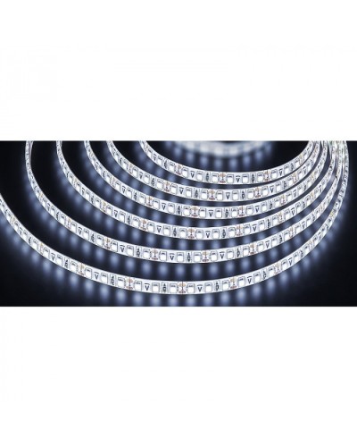 Лента светодиодная Navigator 71 765 NLS-3528СW120-9.6-IP65-12V R5 в Кемерово Источники света(Лампы) Pintop.ru