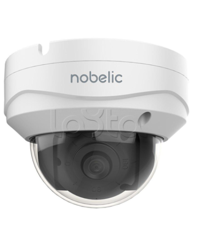 IP-камера в купольном исполнении Nobelic NBLC-2231F-ASDV3 в Кемерово IP-камеры Pintop.ru