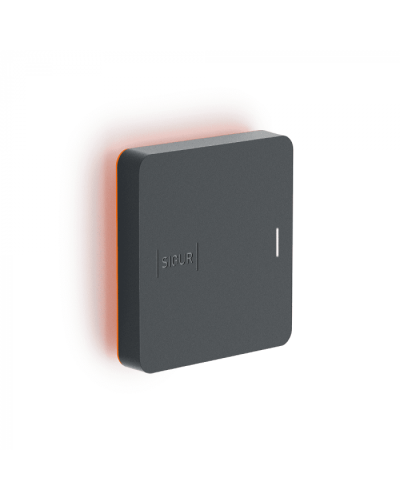 Считыватель SIGUR MR1 BLE в Кемерово Считыватели Pintop.ru