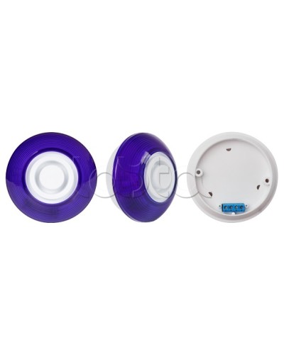 Оповещатель комбинированный SLT Марс 12-КП (строб, син) в Кемерово Оповещатели Pintop.ru