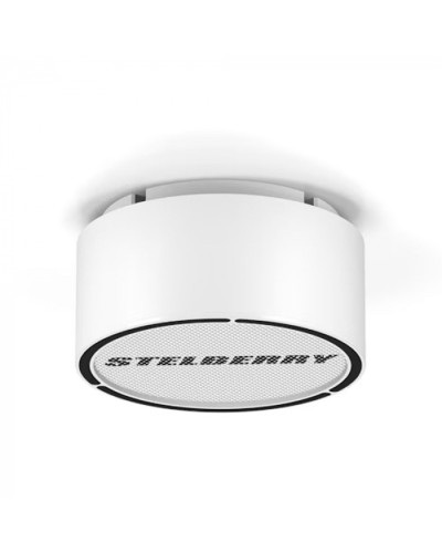 Громкоговоритель STELBERRY F-306W в Кемерово Акустические системы Pintop.ru