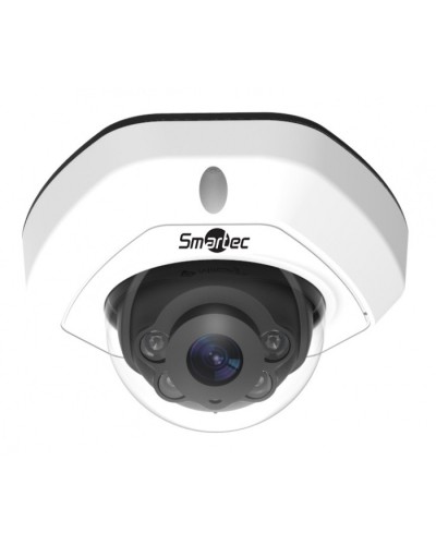 IP-камера видеонаблюдения уличная купольная Smartec STC-IPM3540/1 в Кемерово IP-камеры Pintop.ru