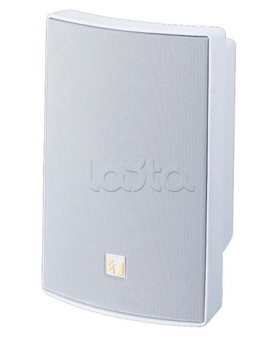 Громкоговоритель универсальный двухполосный TOA BS-1030W в Кемерово Системы оповещения и трансляции TOA Pintop.ru