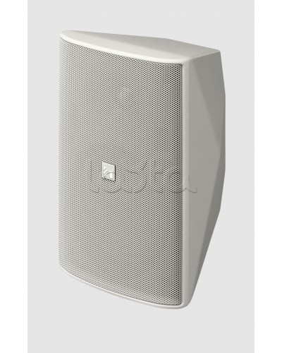 Громкоговоритель 2 полосный TOA F-1300WT в Кемерово Системы оповещения и трансляции TOA Pintop.ru