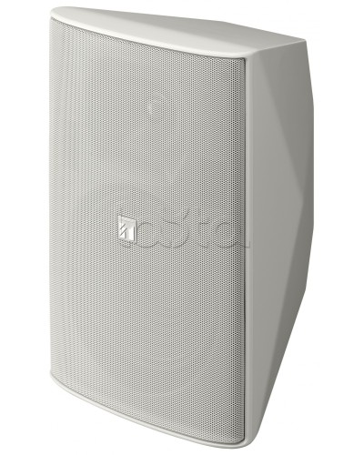 Громкоговоритель 2 полосный TOA F-2000 WT в Кемерово Системы оповещения и трансляции TOA Pintop.ru